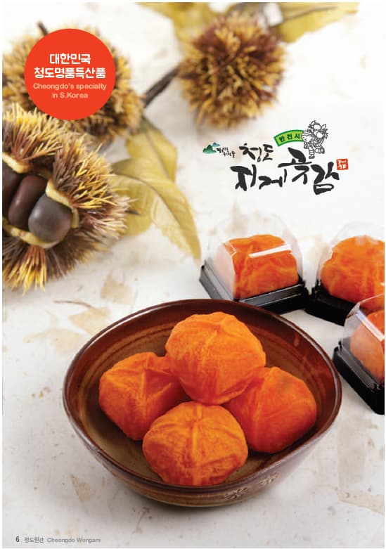 DRIED PERSIMMON tradekorea
